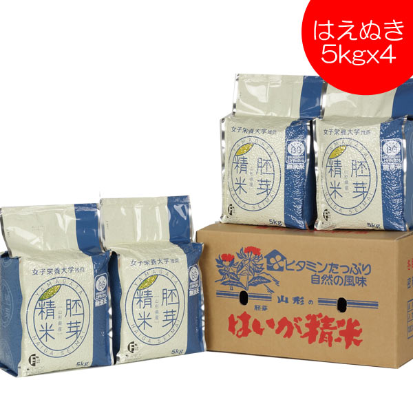 無洗米 はえぬき 胚芽精米 20kg5kg x4 送料無料 山形県産